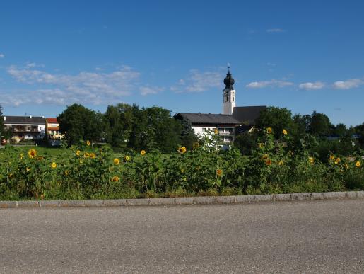 Noch keine Häuser auf den Löckher Gründen