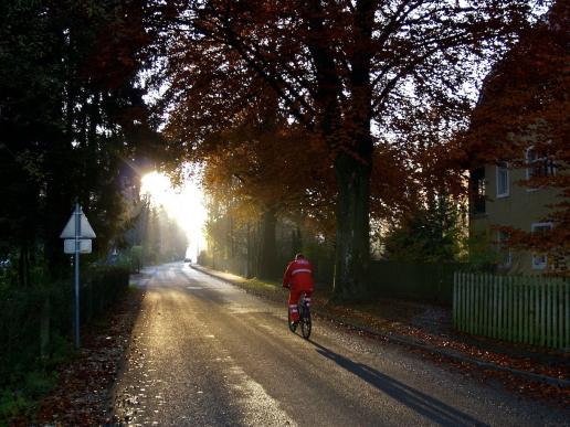 Dr. Greilstaße, Herbststimmung, heute links keine Bäume mehr....alles verbaut