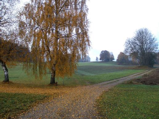 In Lohen, nahe beim Moortümpel