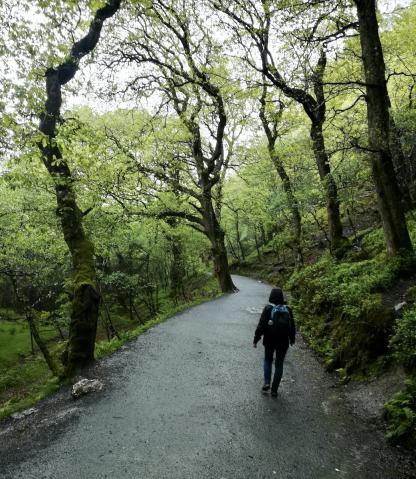 Rund um den Glendalough See, es hat geschüttet!