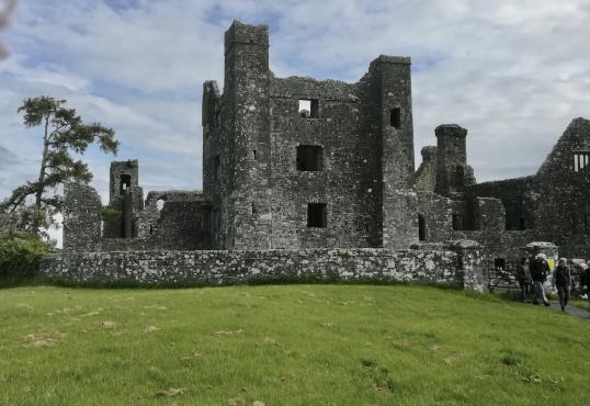 Trim castle...