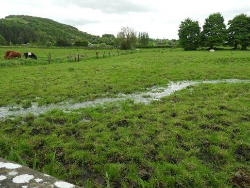 Wasser rinnt aufwärts