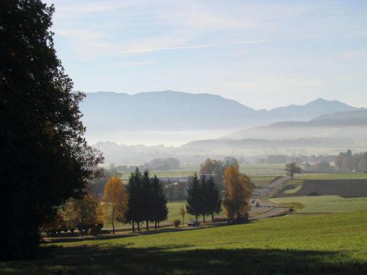 Blick vom Haselwald im Jahr 2005