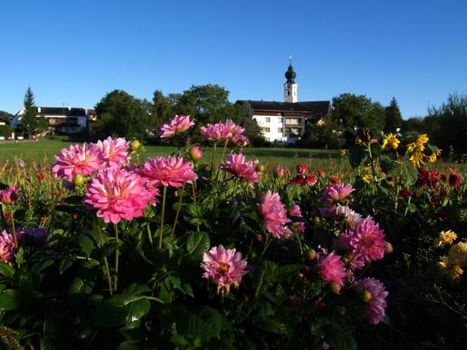 Blumenfelder von St. Georgen, gibts nimmer, alles verbaut!