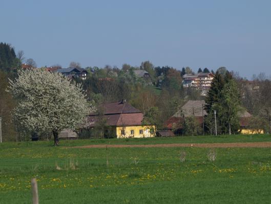 a-gruberm-1