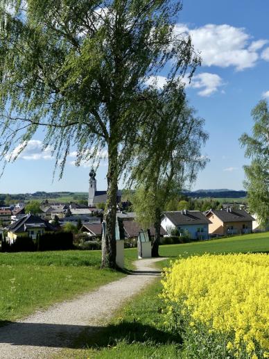 Vom Kalvarienberg Richtung St.Georgen...