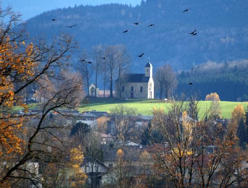 Kalvarienbergkirche und Krähen