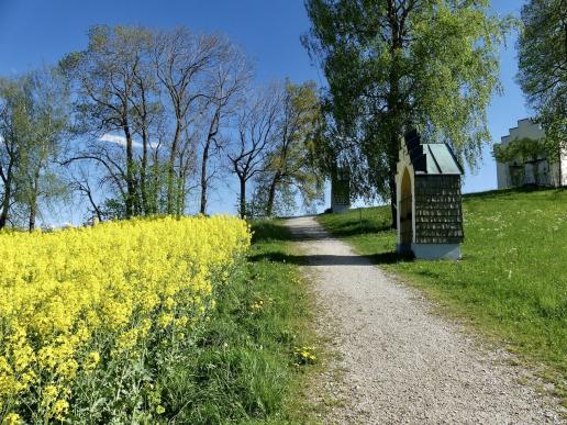 Weg auf den Kalvarienberg 2024