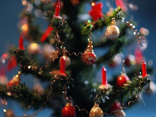 Christbaum nahe
