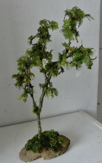 Ganz neu! Ein Moosbaum auf einem Stein...Ein kleiner Ast mit Moos beklebt, wie ein Bosai..Material aus der Natur