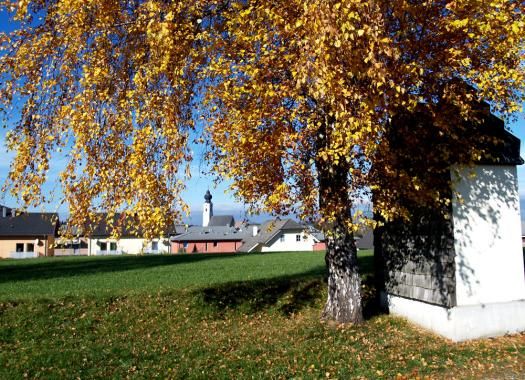 So einen schönen November hatten wir selten, St. Georgen im Attergau