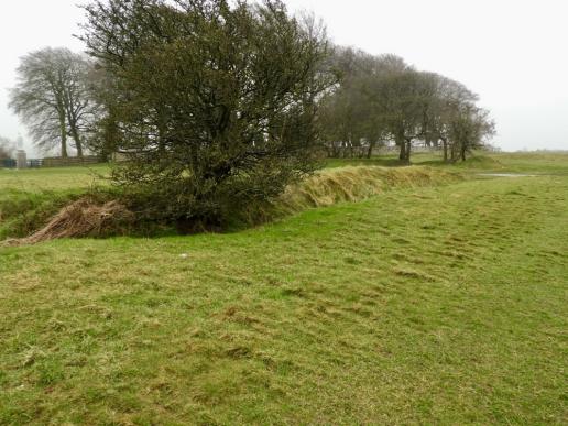 Hills of Tara