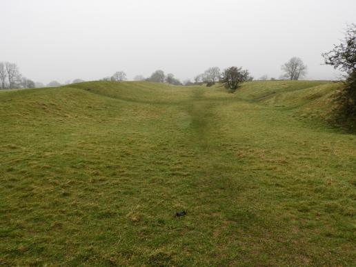 Hills of Tara