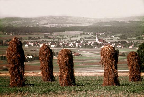 Bilder von Robert Maritsch, oben am Kronberg