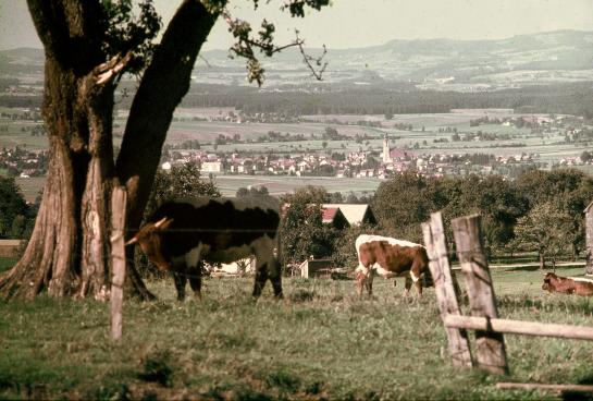Landschaftsfotografie um 1965