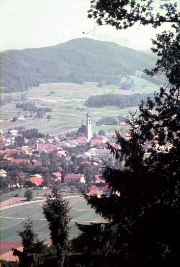 Vom Koglberg zum Buchberg