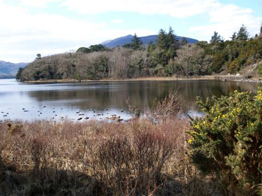 Der größte See beim Muckross castle