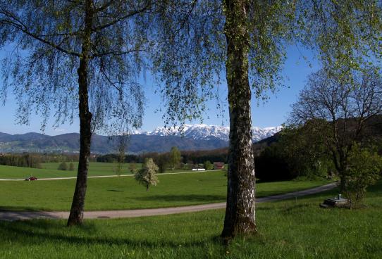 Blick auf Höllengebirge, Frühling