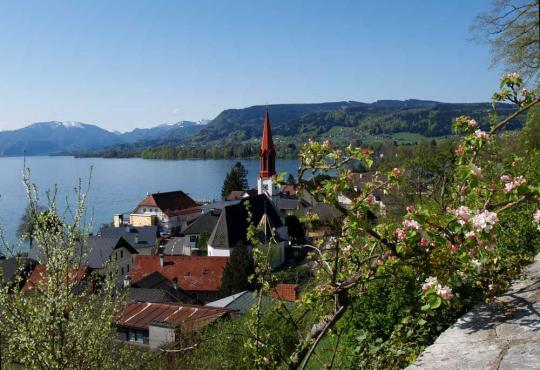 Frühling am Attersee, von oben, bei der Kirche