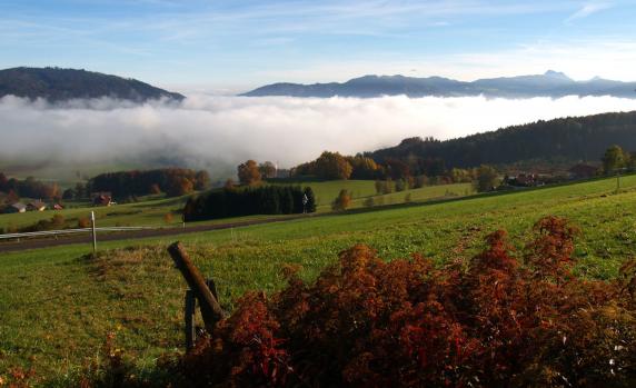 Blick vom Kronberg