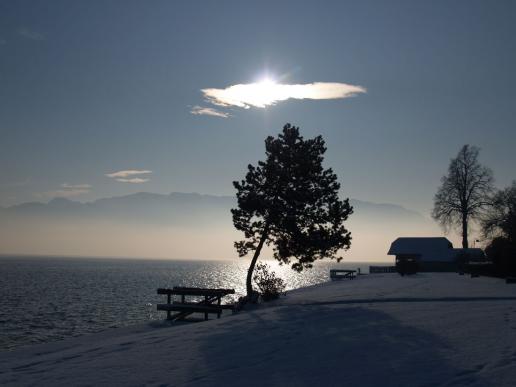 Am Attersee bei großer Kälte