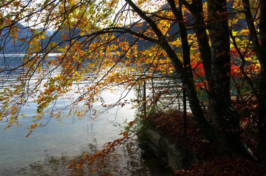 Attersee bei Unterach, meine Lieblingsjahreszeit!