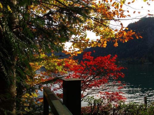 Wieder diese prachtvollen Farben am Attersee!