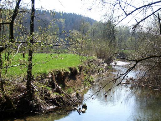 In der Eggenberger Au, Frühjahr