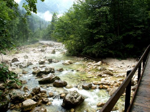 2007 - Nach dem Wetter (im Auto abgewartet) fand ich den Platz unterhalb von Gosau, hat mir so gut gefallen!