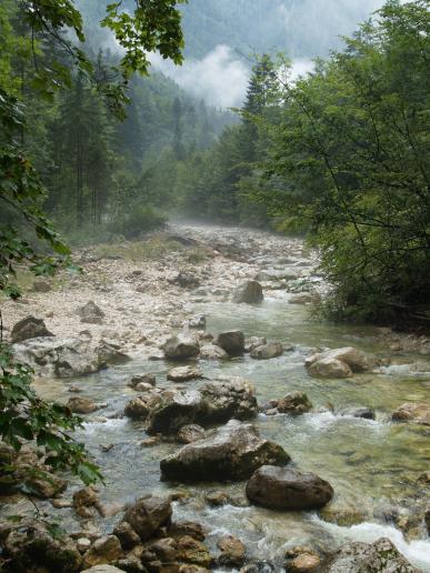 2007 - Die Urnatur, mit aufsteigenden Nebeln vom Wasser, einfach toll!