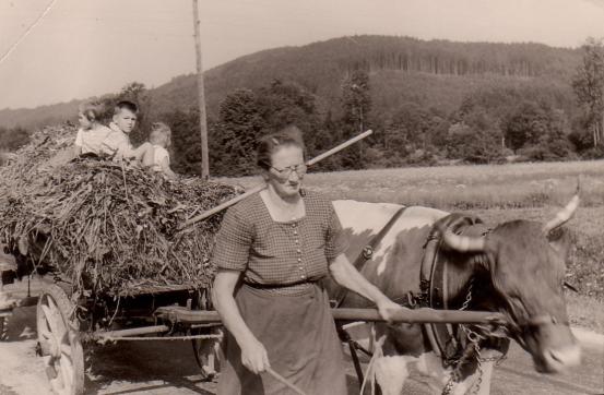 Bei der Heuarbeit, die Lokamoarin...