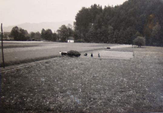 Hinten, in Thalham ging früher die Hauptstraße ganz hinten und nahe am Bach entlang (knapp vor der Kapelle!)