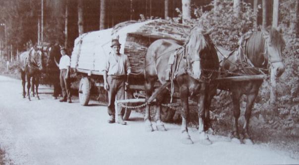 Brettertransport Speimühl 1938, Powang