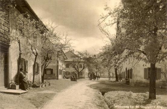 Wildenhag 1949