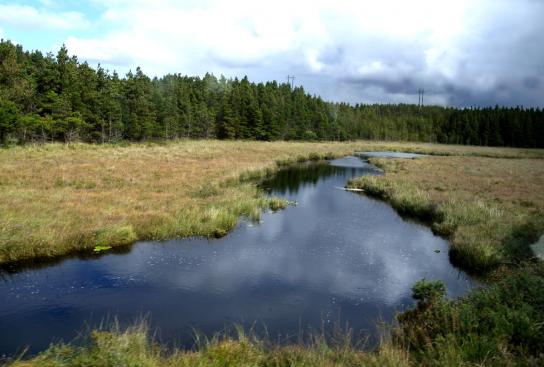 NEU!! Connemara, während der Fahrt fotografiert