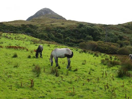 Connemara Nationalpark