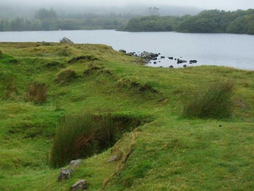 In Connemara, Torfwiese