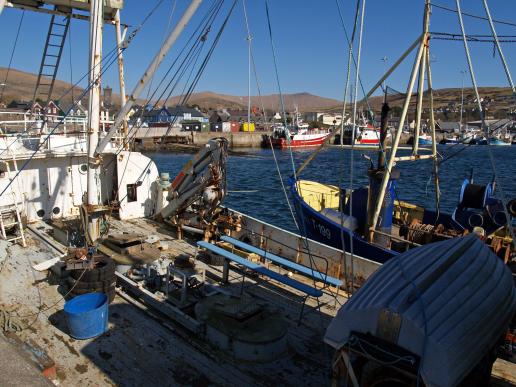 Fischfangkutter in Dingle