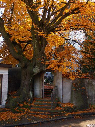 Lieblingsplatzerl im Herbst