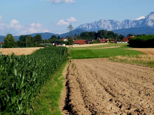 Zufällig Blick zum Gebirge