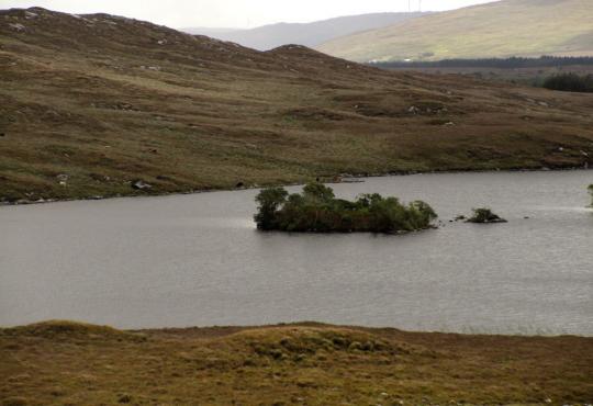 Connemara, so wie ich es mir immer vorstelle, trüb, moorig Wasser...