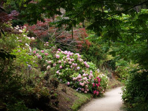 Und rundherum um den großen Teich sind Büsche, über und über Blüten in verschiedenfarbigen Farbtönen angelegt