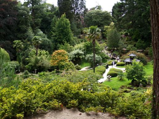 Diesmal bin ich von oben herab in den japanischen Garten gegangen, man kann verschiedene Wege nehmen