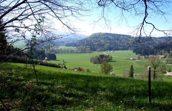 Der frühlingshafte Blick ins Land