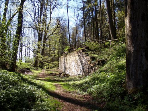 Als die Burg zu Kogl noch stand, waren hier anscheinend gar keine Bäume...