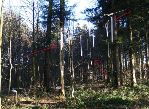 Oben zwischen den Bäumen hängen noch die Seile mit Klangkörpern