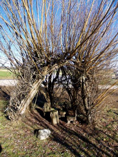 Die Weidenlaube von der Naturinsel