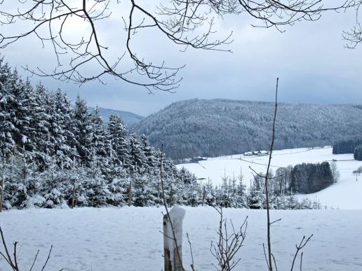 Winterliche Lichtenberg Seite