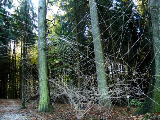 Netze kunstvoll gesponnen