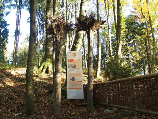 nächste Station im Wald